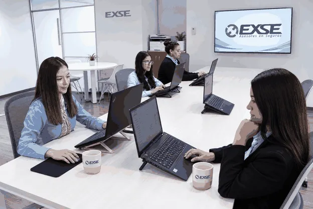 Equipo EXSE trabajando en la sala de la oficina