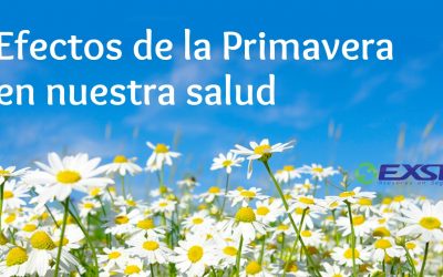 Efectos de la Primavera en nuestra salud