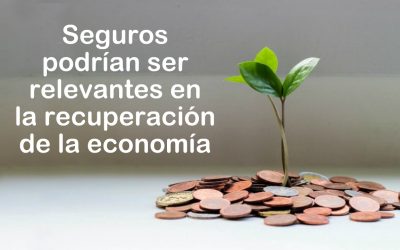 Seguros podrían ser relevantes en la recuperación de la economía