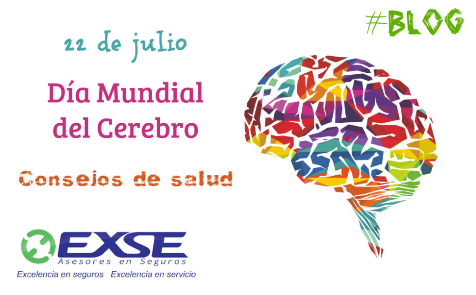 Día Mundial Del Cerebro Exse 1277