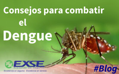 Consejos para combatir el Dengue