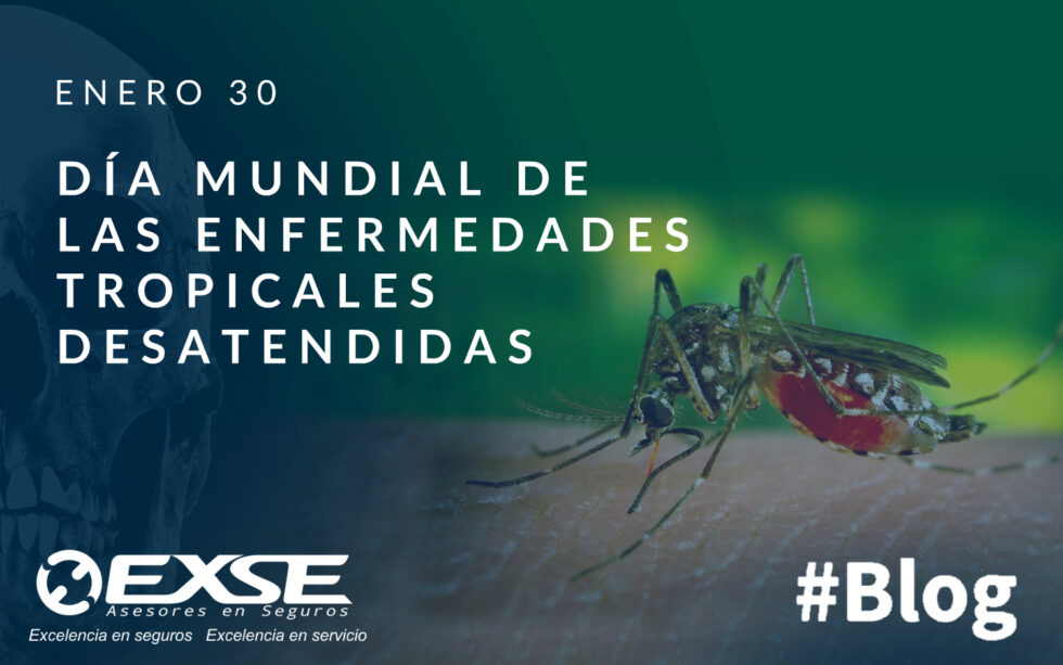 Día Mundial De La Enfermedades Tropicales Desatendidas Etd Exse 5429