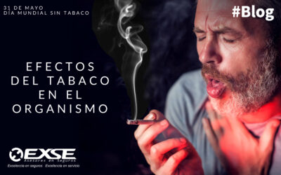 Efectos del tabaco en el organismo