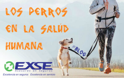 Los perros en la salud humana