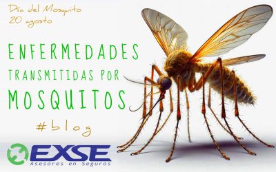 Enfermedades transmitidas por mosquitos