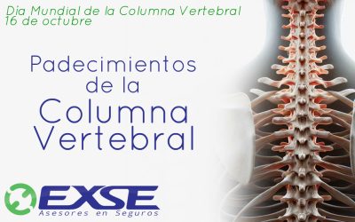 Padecimientos de la Columna Vertebral